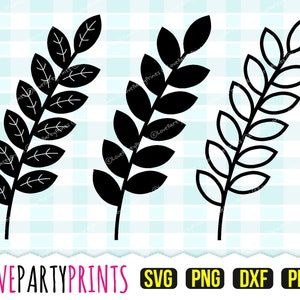 Leaf Svg, DXF, PNG, PDF, Leaf Template, Leaves Svg, Leaf Cutting Files, Leaf Vector Clipart, 695