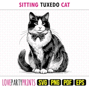 Op de afbeelding: Zwart-witte illustratie van een tuxedokat die met een strik zit. De kat kijkt recht naar de kijker. De afbeelding is in vintage stijl.