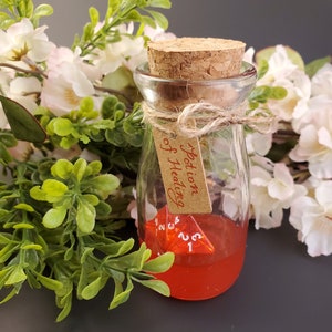 Potion of Healing | Dice Roller | Dice Shaker | Resin Shaker | Dungeons and Dragons gifts | DnD | Nerdy Gifts