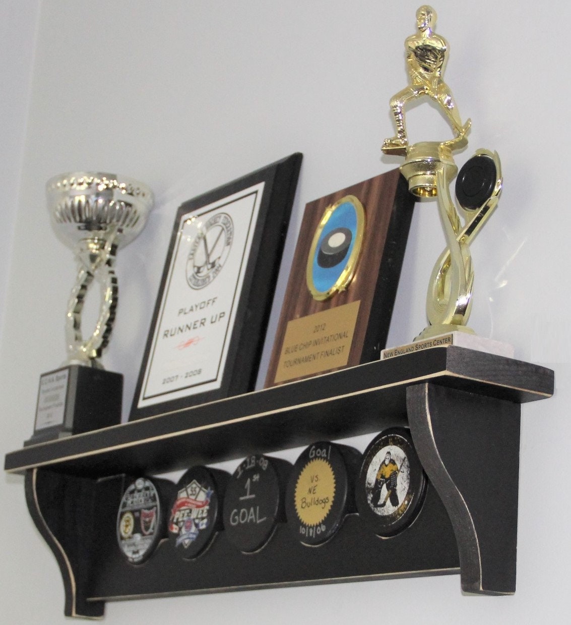 Hockey Stick Puck Display