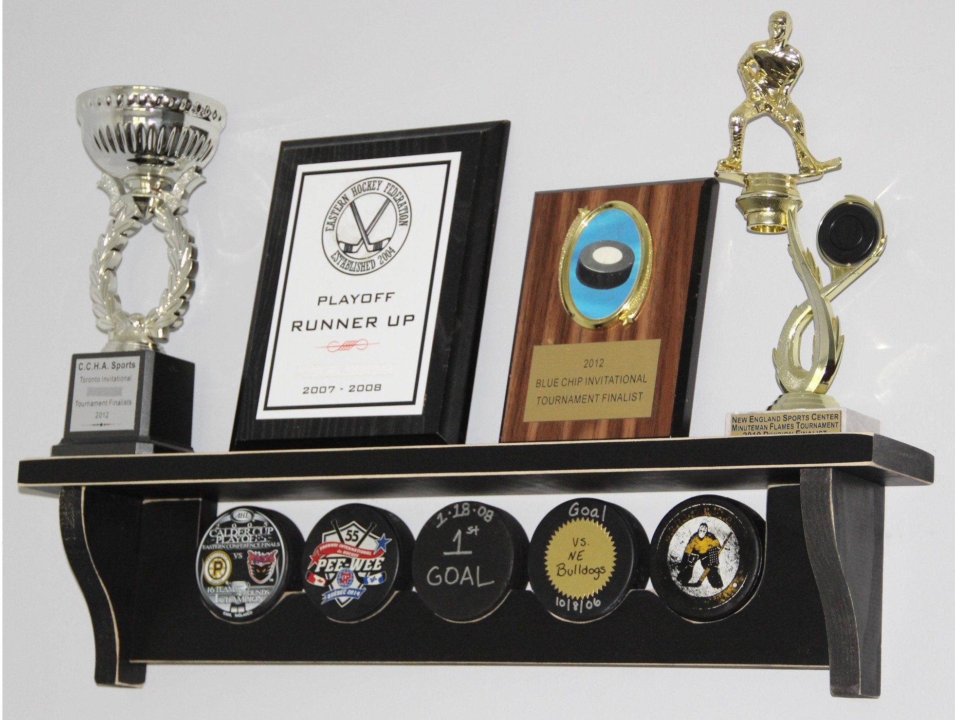 Hockey Puck Display Shelf