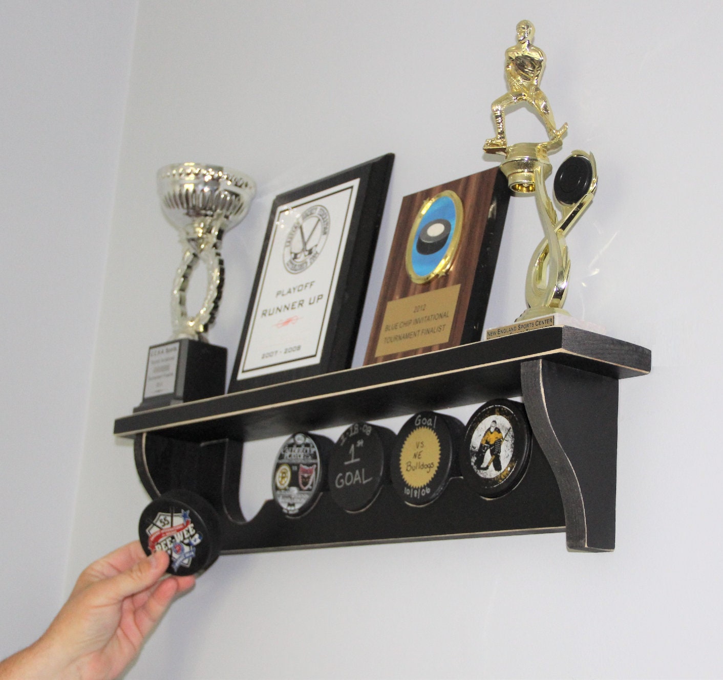Hockey Puck Display Shelf