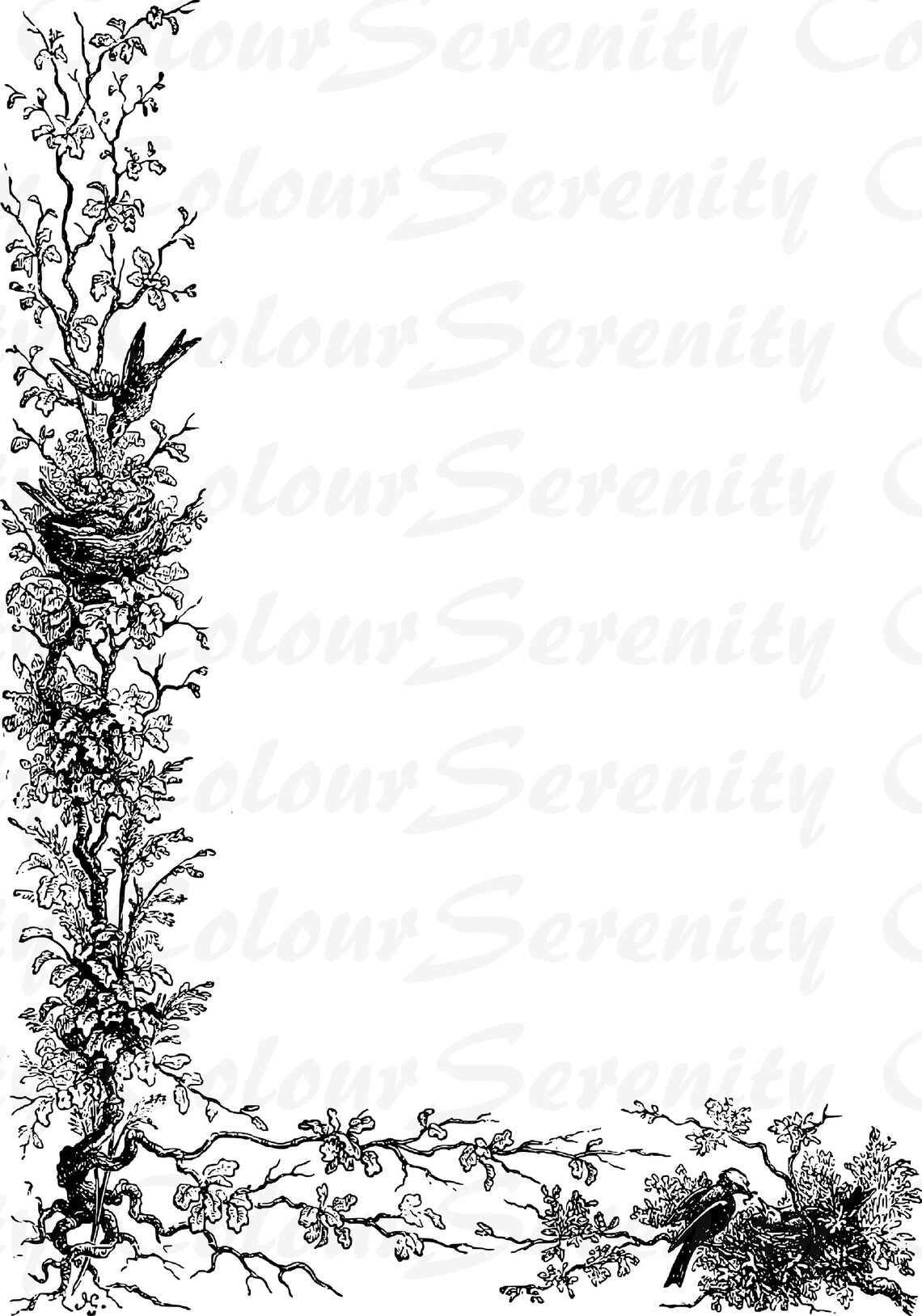 Vintage bird border black and white clipart | Etsy