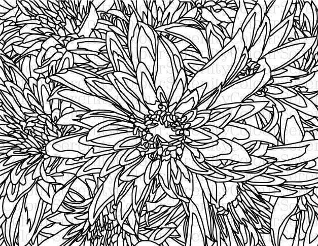 adult coloring page large flowers printable pdf etsy