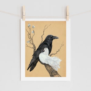 Dove and Raven- A Study in Black and White - 5x7+ bird art print, Bird Wall Art, Bird Artwork, Black and White