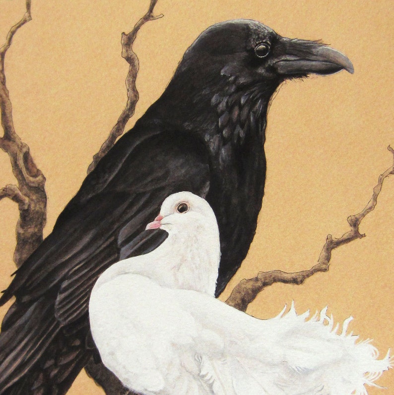 Dove and Raven- A Study in Black and White - 5x7+ bird art print, Bird Wall...