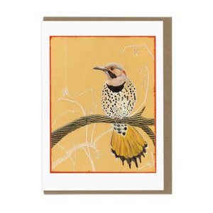 Greeting Card - Northern Flicker -  Blank Card