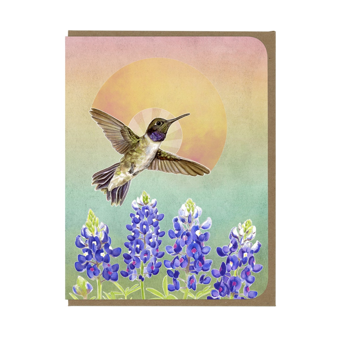 Hummingbird and Bluebonnet Flowers - Blank Note Card - Etsy