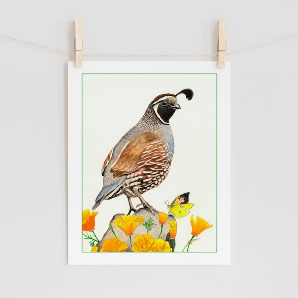 The Californians: Quail, California poppies & butterfly - 5x7+ bird art print from watercolor painting, colorful bird art, California Art