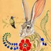 Beautiful Heart: Jackrabbit and Hummingbird - Decorative Colorful ...