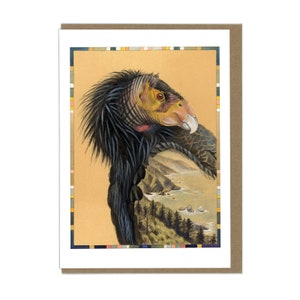 Greeting Card - California Condor -  Blank Card