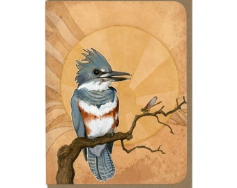 Greeting Card - Belted Kingfisher -  Blank Card