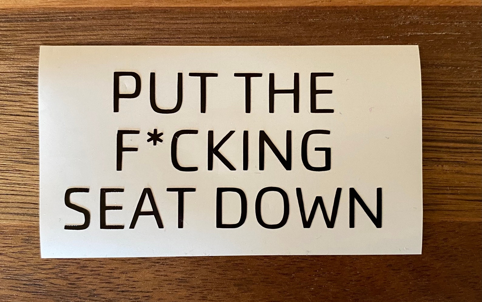 Put the seat down decal Etsy
