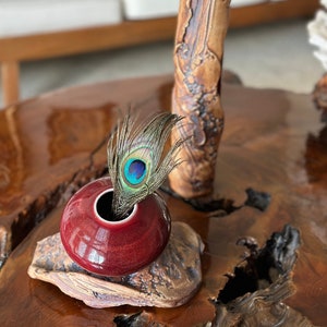 May include: A small, dark red ceramic vase with a peacock feather inside, sitting on a piece of driftwood. The vase is on a wooden table.