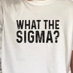 What the Sigma Unisex Tee Sweatshirt | Funny | Father&#39;s Day Gift | Middle School Slang | Teenager Shirt | Teacher Gift | Skibidi | Hoodie