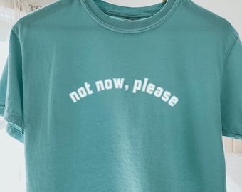 Boxy Cropped T-Shirt: Vintage Washed Comfort Colors Tee for Moms