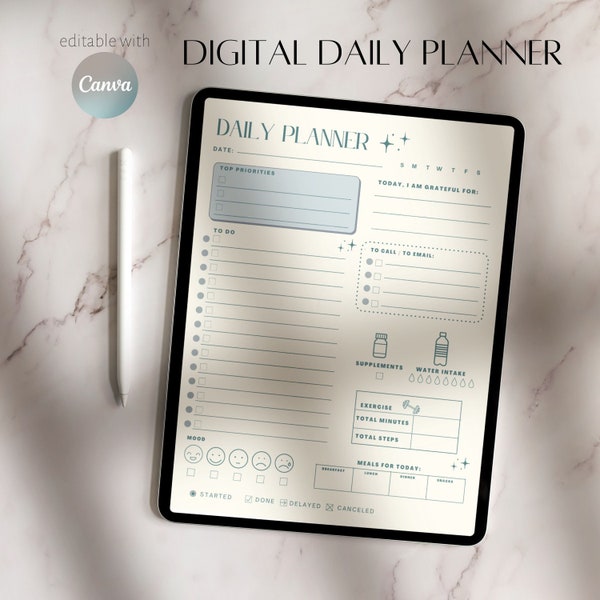 One Page Daily Planner Sheet for Goodnotes, Printable Daily Planner Sheet, Retro Aesthetic Fillable Fields Planner PDF Notability, Noteshelf