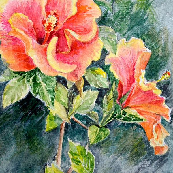 Peinture à l'hibiscus, oeuvre d'art aquarelle originale, art de l'hibiscus