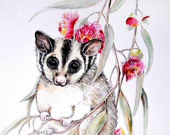 Sugar Glider on Eucalyptus Watercolour Print, Australian Wildlife Art