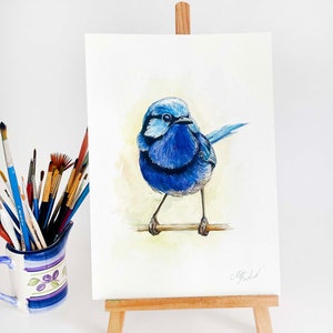 Dipinto originale di uccello australiano Blue Wren