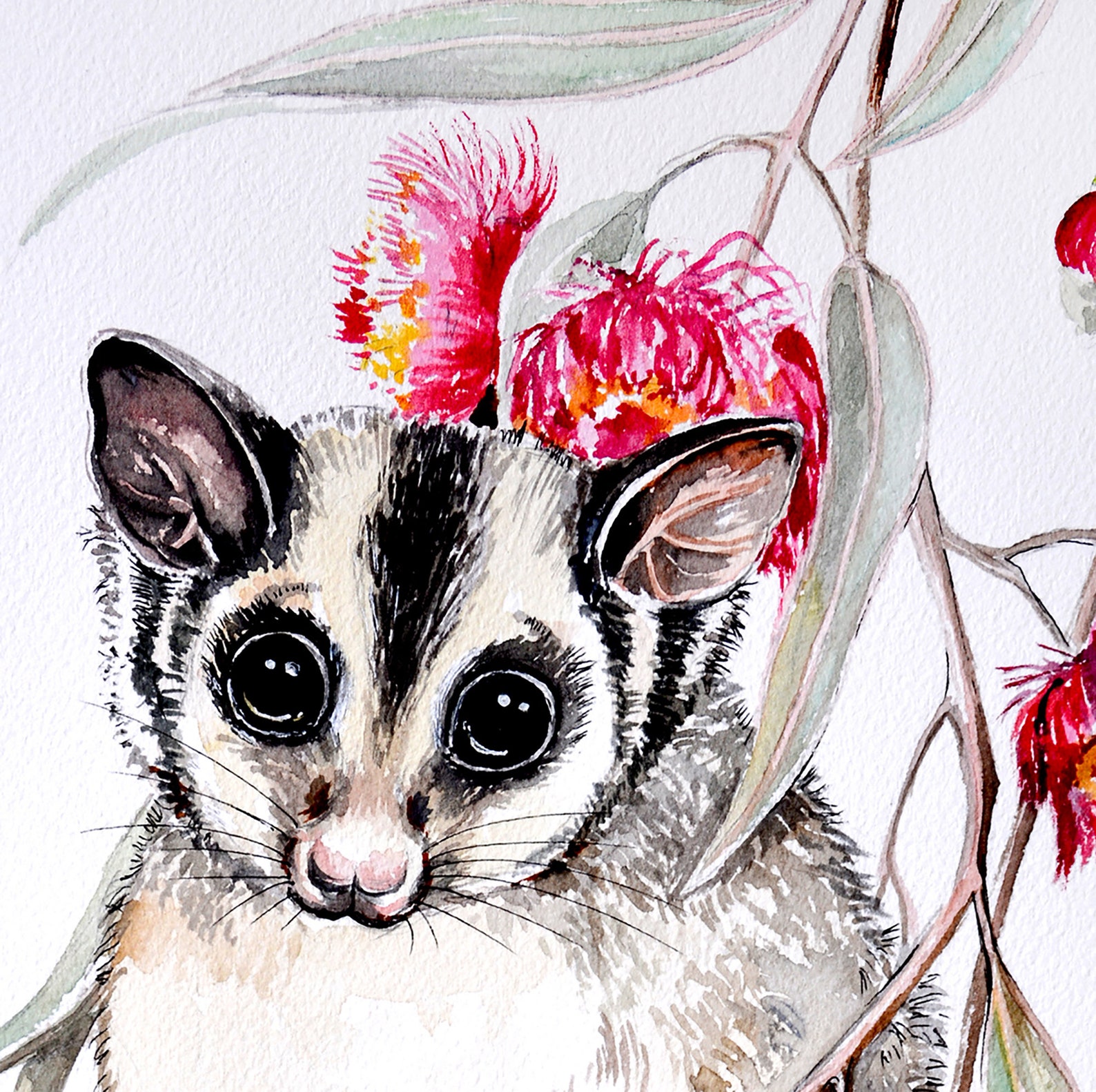 Sugar Glider and Eucalyptus Blossom Watercolour Print Etsy Australia