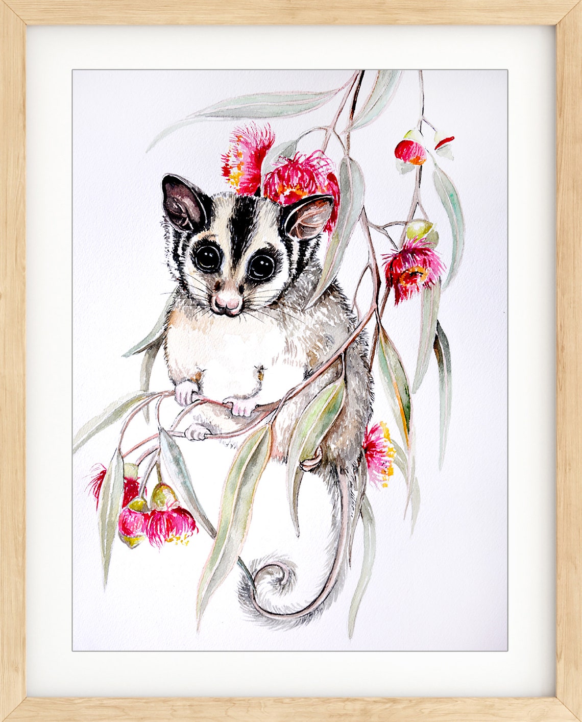 Sugar Glider and Eucalyptus Blossom Watercolour Print Etsy Australia