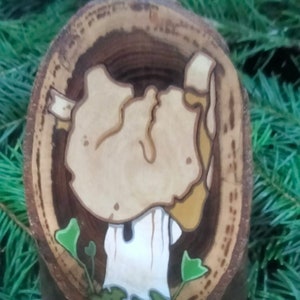 Common White Helvetica Toadstool on a Black Walnut Stumpy