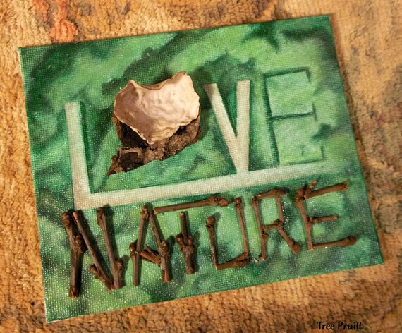 Green Bud Love Nature Assemblage Art W Lichen Heart And 3d Etsy