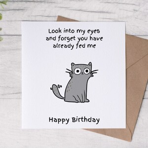 cat birthday card, greetings card,