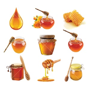 Clipart miel, téléchargement immédiat, usage commercial