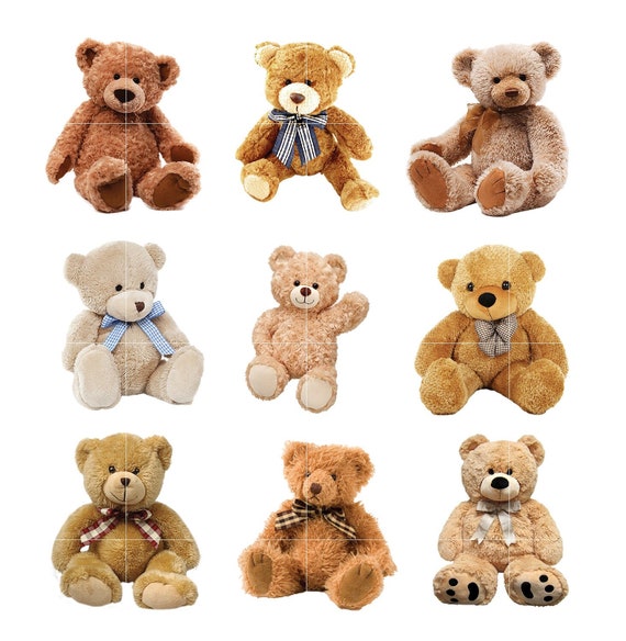9 Teddy Bear PNG Clipart Instant Download Commercial Use Etsy