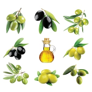 9 Olive Clipart, Instant Download, Commercial Use