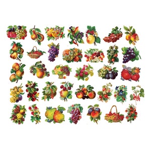 35 imágenes prediseñadas de frutas vintage, descarga instantánea, uso comercial