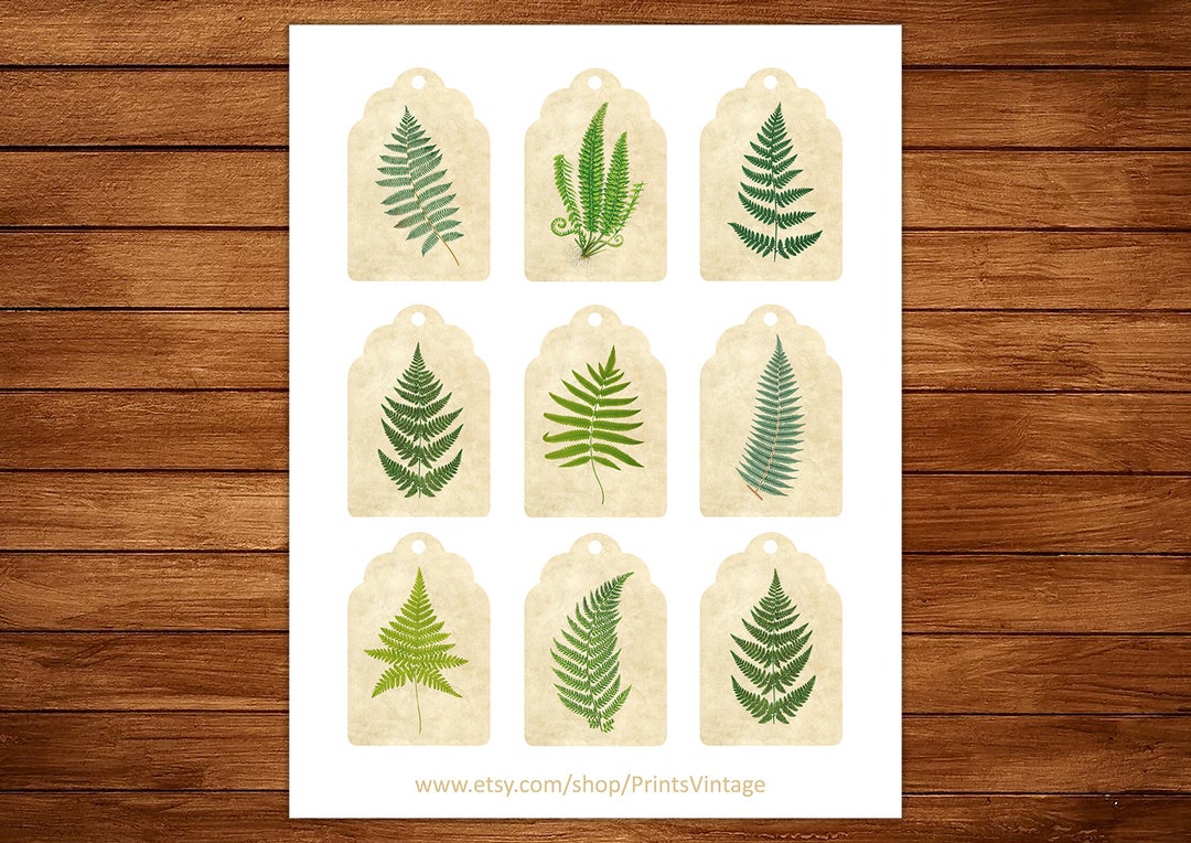 Ferns Printable Gift Tags Instant Download - Etsy