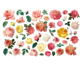 54 vintage rozen clipart, instant download, commercieel gebruik