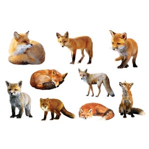 9 Fuchs Clipart, Instant Download, kommerzielle Nutzung