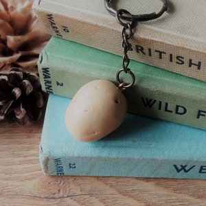 Może przedstawiać: Stos trzech książek z tytułami "British Geology", "Wild Flowers" i "Weather". Książki są brązowe, beżowe i niebieskie. Mały, beżowy, kartoflany brelok do kluczy wisi na srebrnym kółku.