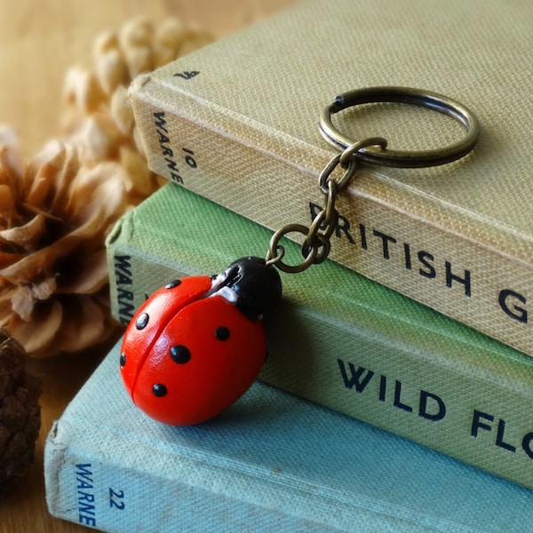 By the Shed Ladybird Keyring - Lady Bug, Insect, Gardening - Vegetable, Fruit - Allotment, Garden - Red Black - Summer Key Chain, Charm, Key