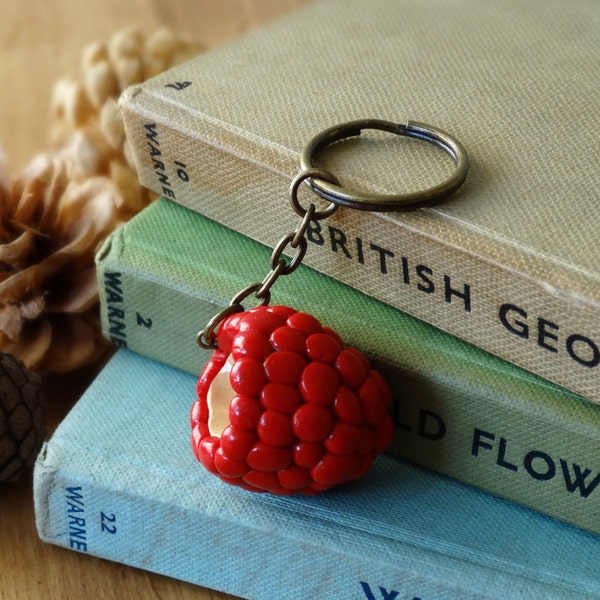 By the Shed Raspberry Keyring - Hedgerow  - Fruit - Vegetables - Gardening - Gift - The Good Life - Vegetarian Gift - Key Chain, Charm