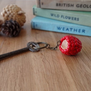 By the Shed Raspberry Keyring - Hedgerow - Fruit - Vegetables ...