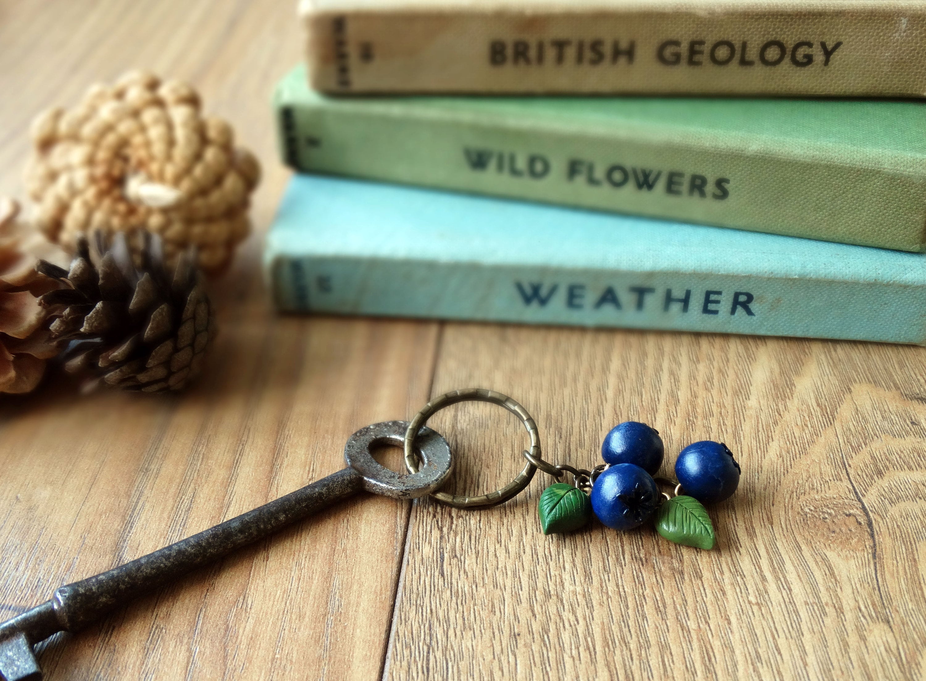 By the Shed Blueberry Charm Keyring - Fruit - Vegetables - Gardening …
