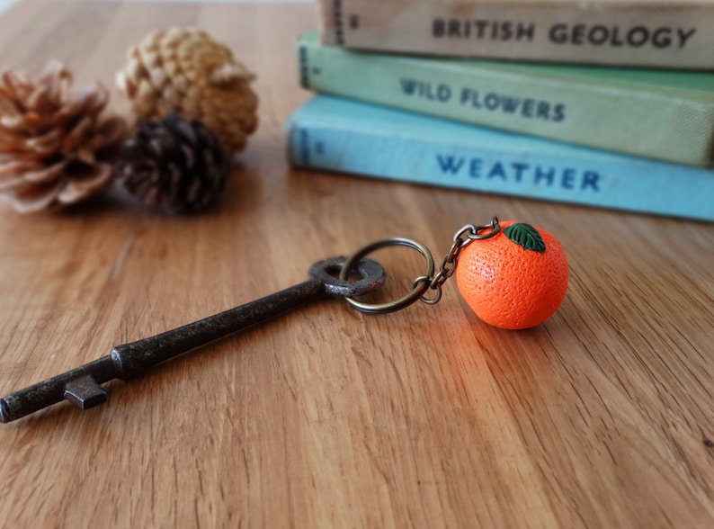 By the Shed Orange Fruit Keyring Vegetable Fruit Sunshine, OJ, Orange Juice Garden Gift Quirky Summer Citrus Key Chain, Charm image 2