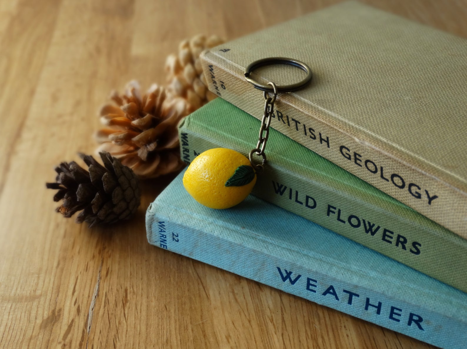 By the Shed Lemon Yellow Keyring Key Chain - Citrus - Funky - Keys ...