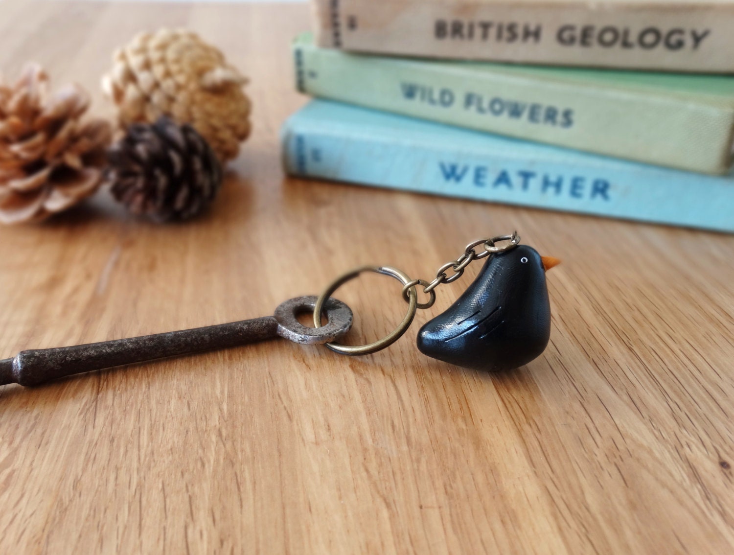 By the Shed Black Bird Keyring - Blackbird - Garden Birds - Gardening…
