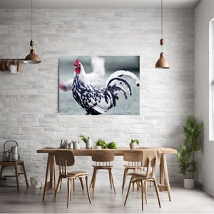 Black and White Rooster Grey Backgroound Photo