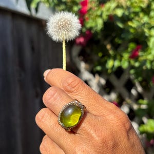 May include: A gold-toned ring with a large, oval, yellow-green gemstone. The ring has a braided rope design around the gemstone and ornate detailing on the sides. The ring is worn on a hand, with a dandelion in the background.