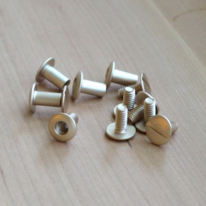May include: A collection of brass-colored rivets and screws. The rivets have a cylindrical body with a flat head on each end. The screws have a flat head with a single slot. The hardware is scattered on a light brown wooden surface.