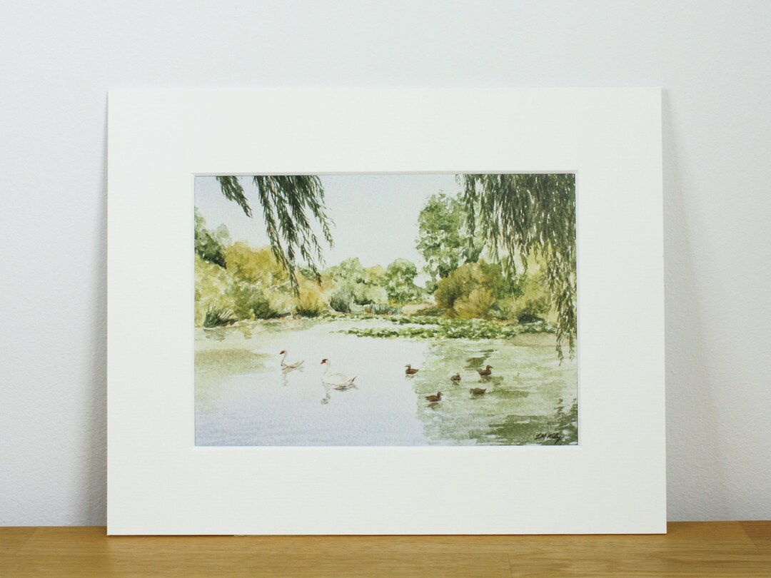 Duck Pond Pelsall Common Walsall Mounted Art Print 10x8 Reproduced From