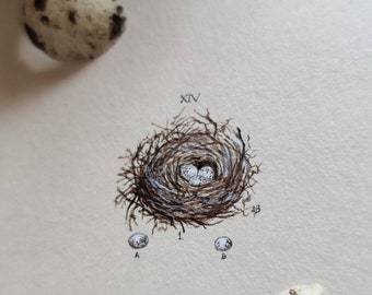 Bird's Nest Watercolor Mini Painting - Nature-Inspired Gift for Bird Lover, Watercolor illustration with nest, Original miniature painting