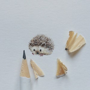 Watercolor miniature with cute Hedgehog, tiny gift for best friend, framed home decor zdjęcie 1